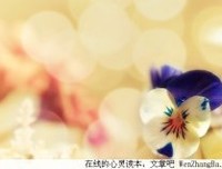 自己为自己鼓掌