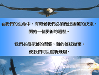 什么值得吃，什么值得做的读后感大全