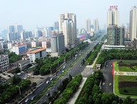 《解放》经典影评集