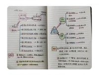 《即使生命如尘，仍愿岁月如歌》的读后感大全