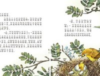 小青蛙的大发现读后感锦集