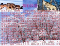 《狼图腾》的影评大全