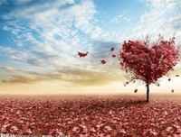 最全的《活法》小说摘抄