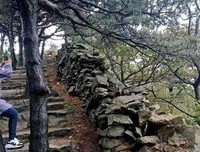 《丈量世界》读后感摘抄