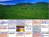 人人都在说谎读后感1000字
