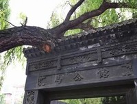《玩转厨房：做出家常好味道》读后感摘抄