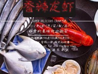 《上海，上海》影评100字
