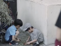 共情的力量读后感精选