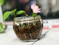 偶然遇见你☜句子大全
