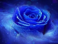 有关散文小说的句子