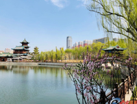 风种若春和景明的优美句子