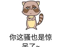 我也不知道这种情况该怎么处理，你们会怎么办呢