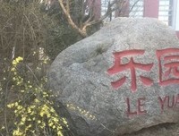 《等着你回来》好看吗？经典影评锦集