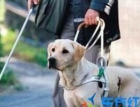 上帝笑了99次读后感100字