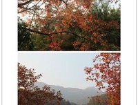 写小说最重要的十件事读后感精选