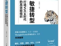 《敏捷转型：打造VUCA时代的高效能组织》读后感1000字