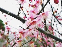时光有泪经典的句子