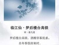 关于杜雪明15句经典名言
