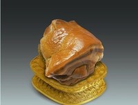 《肉类真相》的观后感大全