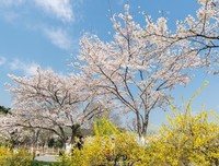 《风和日丽(清新人像写真术)》读后感精选