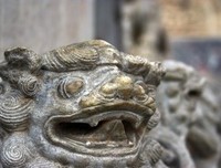 南柯一梦的句子