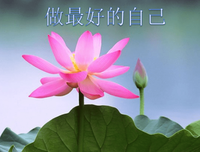 看见孩子，看见自己读后感锦集