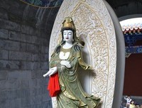 《观世音》影评精选