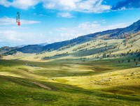 《奔跑的乌龟》影评摘抄