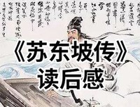 《小丑的流浪》读后感100字