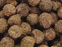 棠棣王朝读后感锦集
