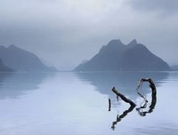 内心的安静，是最美的风景
