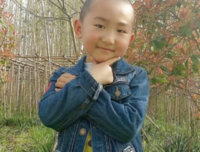 落是红梅名句欣赏