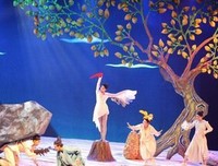 《马兰花》经典观后感1000字