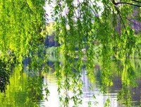关于妙笔生花的名言
