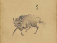 《山海百灵：《山海经》里的神人鸟兽鱼》读后感1000字