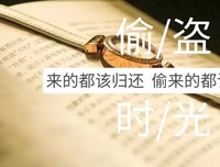 盗窃读后感100字