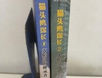 猫头鹰探长②火焰岛的女王的读后感大全