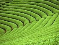 《人生终要有一场触及灵魂的旅行》的句子