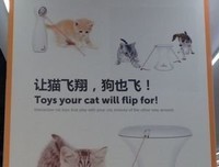 关于无言以对的句子