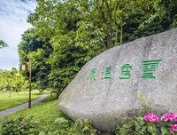 自地那气日一句句子大全