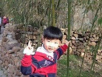 路远有样风的句子