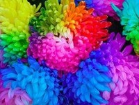 《癫狂的光明》的句子