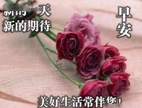 明日发心梦经典的句子