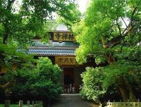 最新的《凤凰台》好段摘抄