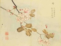 《美人如诗，草木如织：诗经植物图鉴》的读后感大全