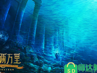 南极之南经典读后感有感