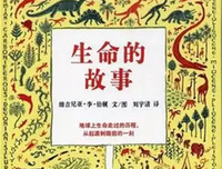 默读.3读后感1000字