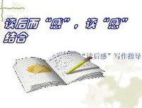 极速写作读后感锦集