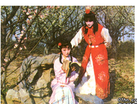 最全的《ZOO》好段摘抄大全