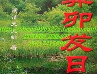 《拉字至上 第二季》经典观后感1000字